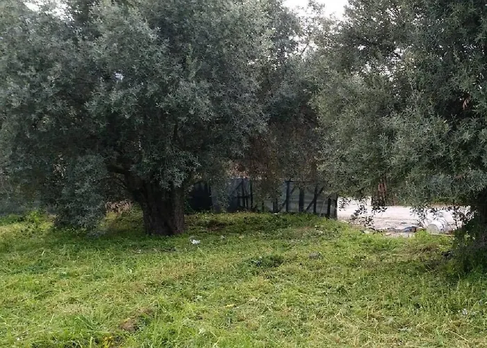 Suluca Homes