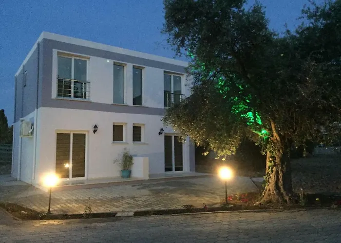 Suluca Homes